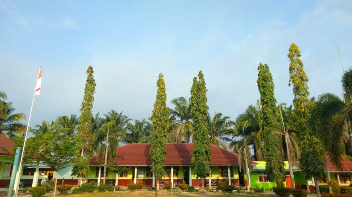 Baris Berbaris dan Lagu Kebangsaan, MIN 3 Tebo Tanamkan Disiplin dan Cinta Tanah Air
