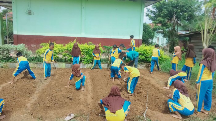 Pemanfaatan Lahan oleh Bapak Sutran Jadi Inspirasi Pembelajaran Fotosintesis
